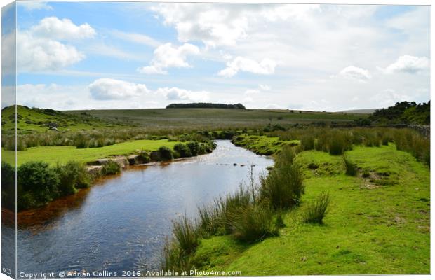 babbling brook Canvas Print by Adrian Collins