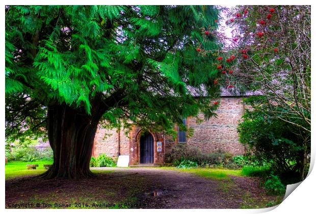 Church in the Trees Print by Tom Gomez