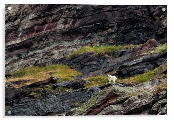 A Rocky Landscape and a Mountain Goat No. 1 Acrylic by Belinda Greb