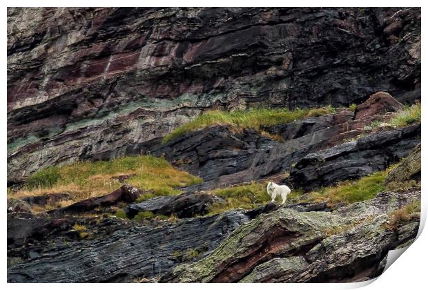 A Rocky Landscape and a Mountain Goat No. 1 Print by Belinda Greb