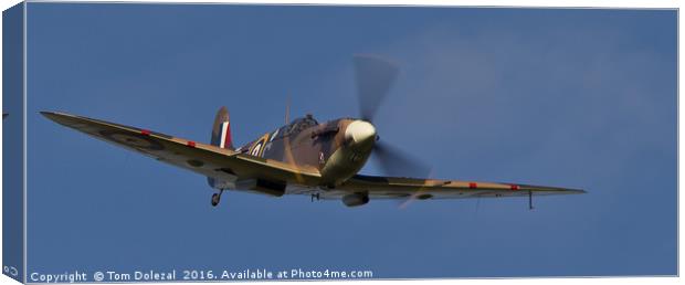 Watch out Spitfire about! Canvas Print by Tom Dolezal