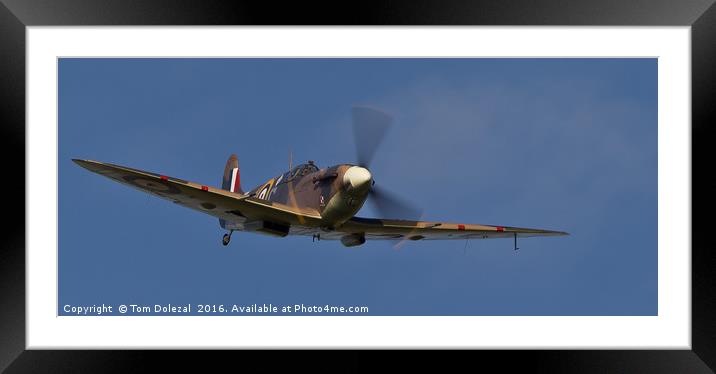 Watch out Spitfire about! Framed Mounted Print by Tom Dolezal