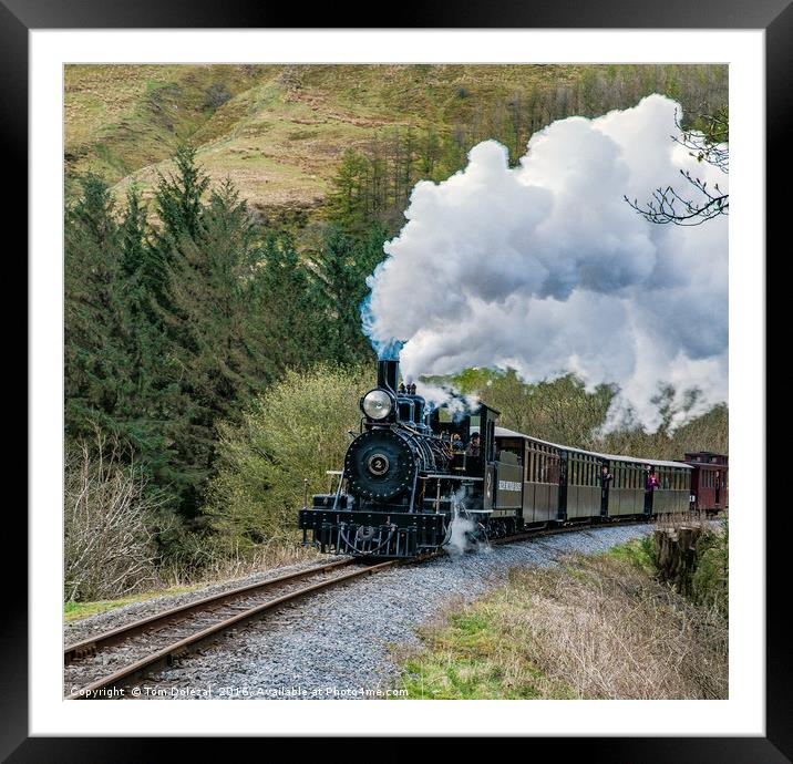  Brecon Mountain Railway steam train Framed Mounted Print by Tom Dolezal
