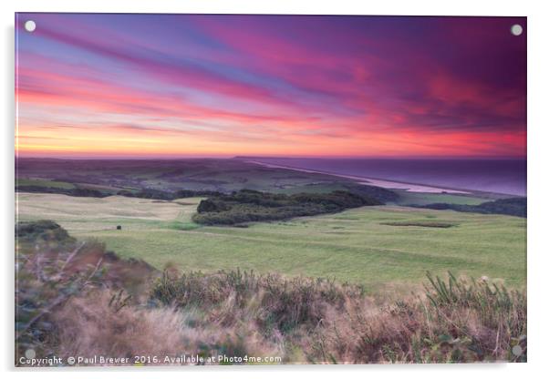 Abbotsbury Hill Acrylic by Paul Brewer