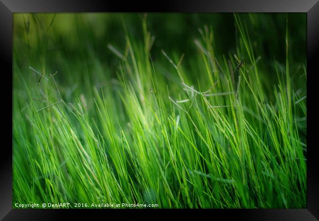 Green, green grass of home Framed Print by DeniART 