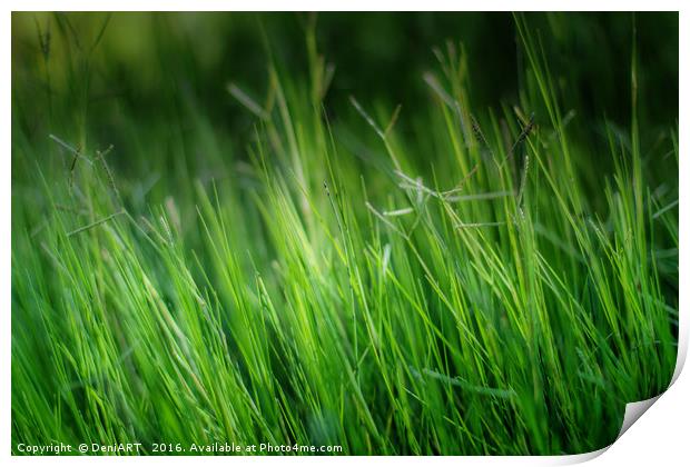 Green, green grass of home Print by DeniART 