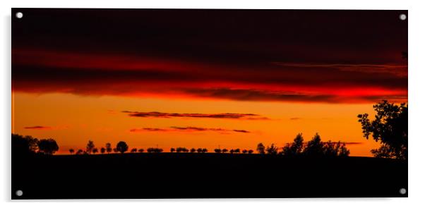 Orange sunset ower fields. Acrylic by Sergey Fedoskin