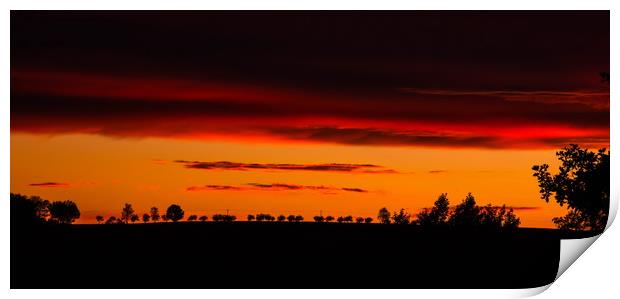 Orange sunset ower fields. Print by Sergey Fedoskin