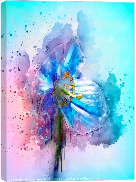 Poppy art Canvas Print by Svetlana Sewell