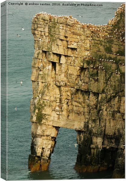 FILLED UP CLIFFS Canvas Print by andrew saxton