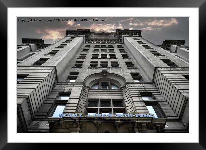 Liver building liverpool Framed Mounted Print by Derrick Fox Lomax