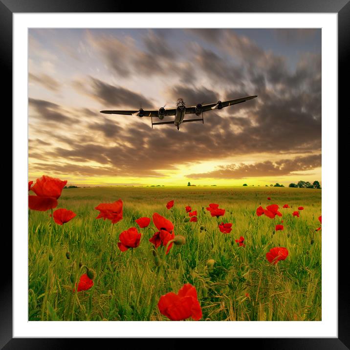 Lancaster Poppy Field Framed Mounted Print by J Biggadike