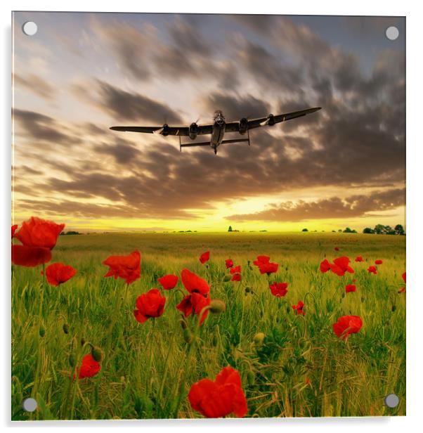 Lancaster Poppy Field Acrylic by J Biggadike