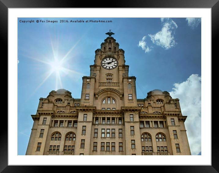 Liver building liverpool Framed Mounted Print by Derrick Fox Lomax