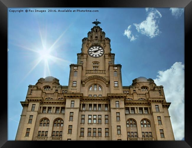 Liver building liverpool Framed Print by Derrick Fox Lomax