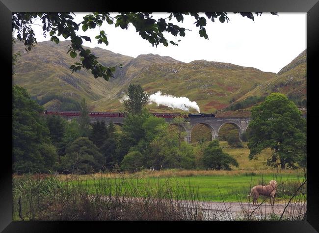 Back to Fort William Framed Print by Peter Balfour