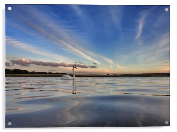           Swan Lake Acrylic by Gerald Robinson