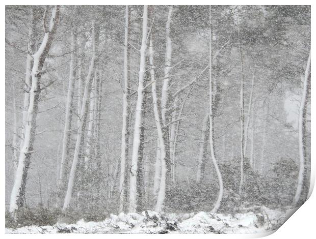           Snow storm in Derbyshire Print by Gerald Robinson