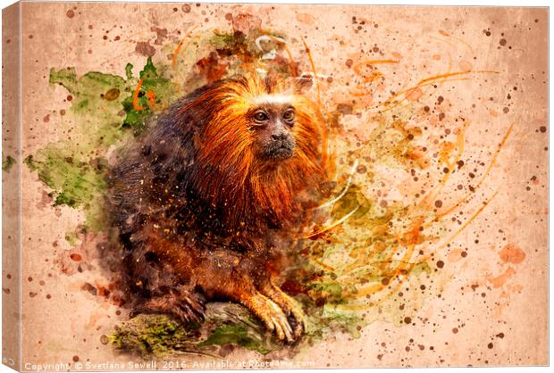 Tamarin Lion Monkey Canvas Print by Svetlana Sewell