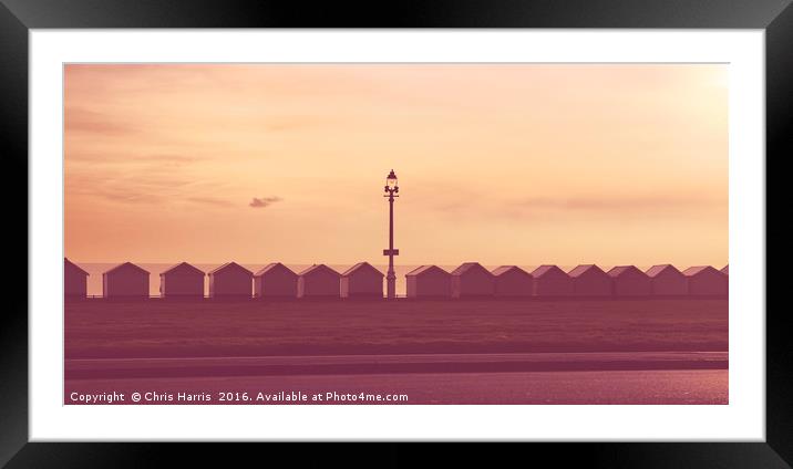 HOVE BEACH HUTS Framed Mounted Print by Chris Harris