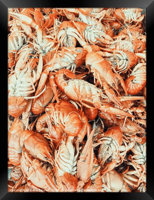 Lobsters For Sale In Fish Market Framed Print by Radu Bercan