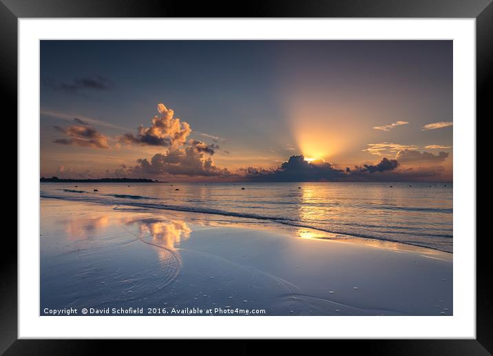 First Light Framed Mounted Print by David Schofield