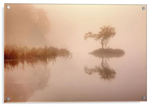 Rydal mist Acrylic by Paul Bullen
