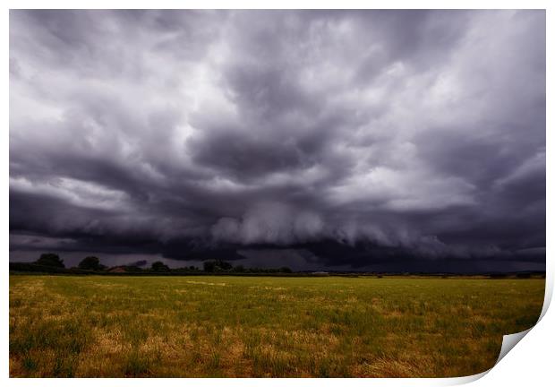 Facing the Storm Print by Colin Askew
