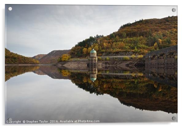 Autumn in the Elan Valley Acrylic by Stephen Taylor