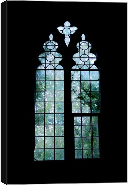 trees outside the windows Canvas Print by Heather Newton