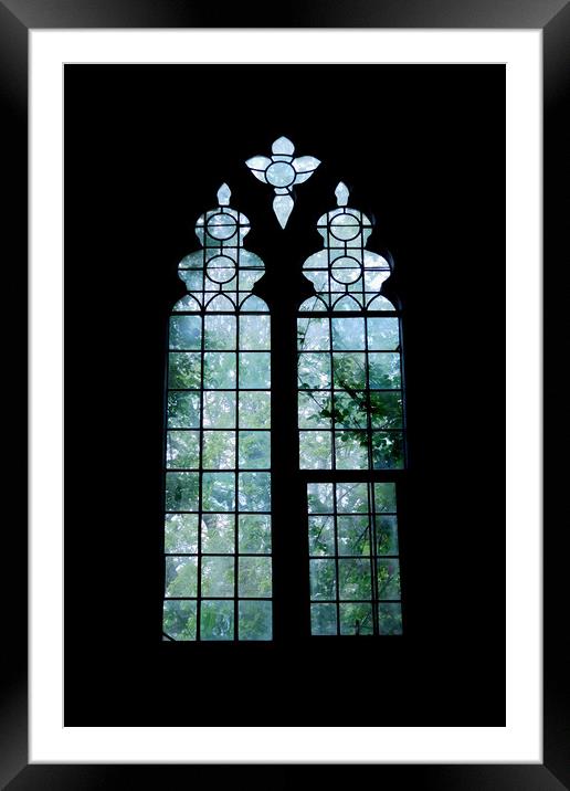 trees outside the windows Framed Mounted Print by Heather Newton