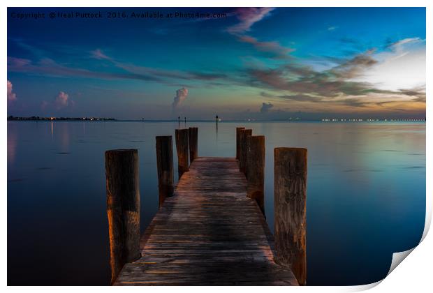 Sunrise at Tampa Bay Print by Neal P
