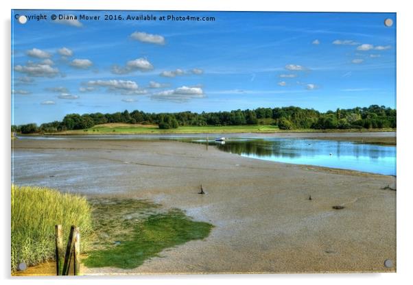 River Deben Suffolk Acrylic by Diana Mower