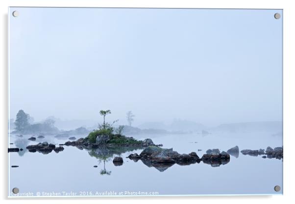 Misty Dawn Acrylic by Stephen Taylor