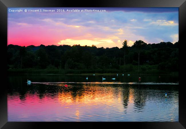 Whitlingham Lake At Sunset Framed Print by Vincent J. Newman