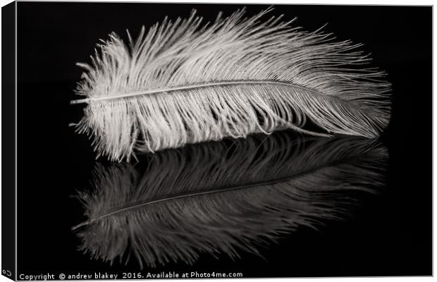 Feather Balanced on a Edge Canvas Print by andrew blakey