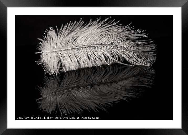 Feather Balanced on a Edge Framed Mounted Print by andrew blakey