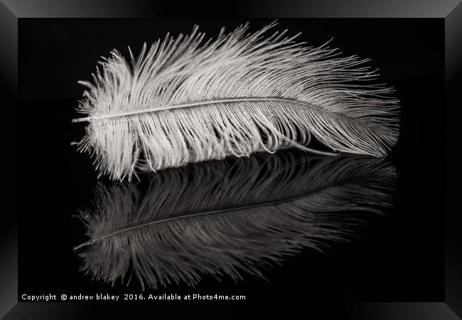 Feather Balanced on a Edge Framed Print by andrew blakey