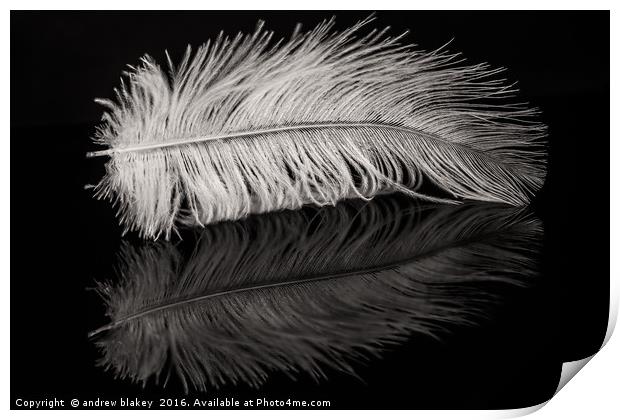 Feather Balanced on a Edge Print by andrew blakey