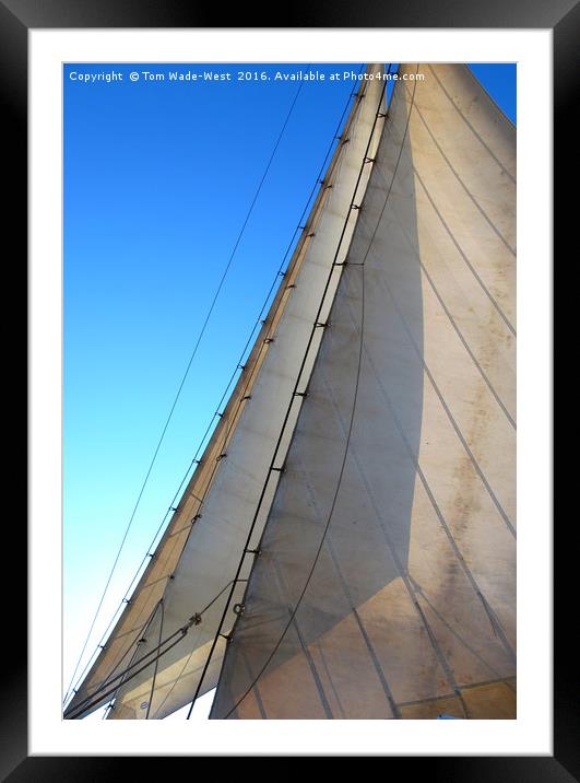 Headsails Framed Mounted Print by Tom Wade-West