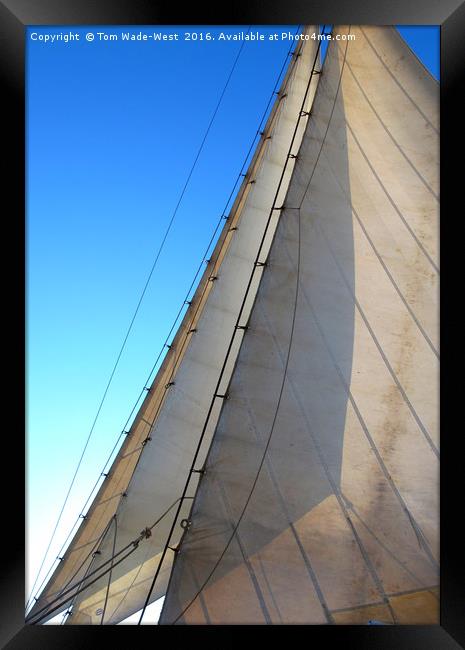 Headsails Framed Print by Tom Wade-West