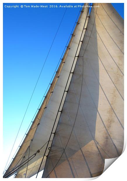 Headsails Print by Tom Wade-West