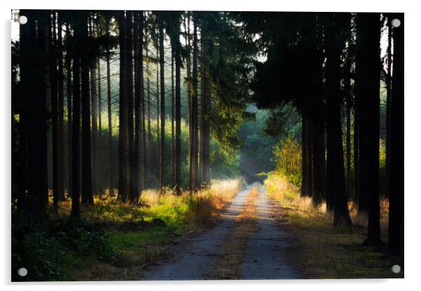 Road in morning forest. Acrylic by Sergey Fedoskin