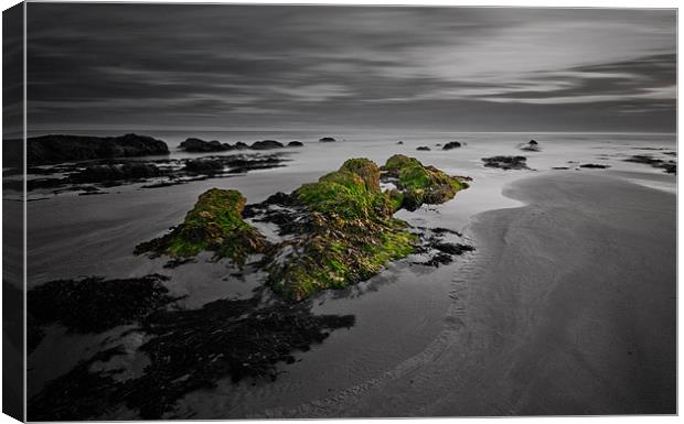 Waning Tide Canvas Print by Mark Robson