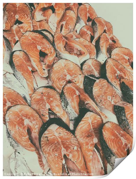 Salmon For Sale In Fish Market Print by Radu Bercan