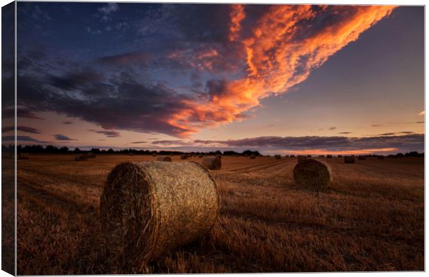 Straw bales sunset Canvas Print by Paul Bullen