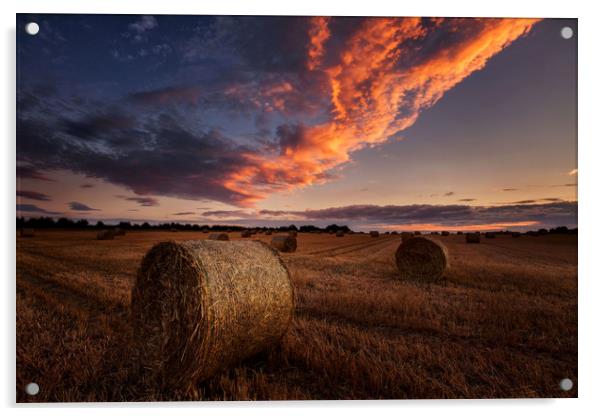 Straw bales sunset Acrylic by Paul Bullen