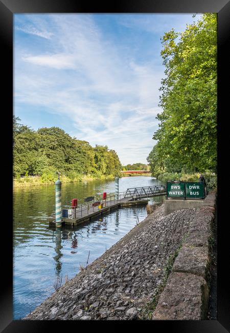 Bute Park Water Bus Stop Framed Print by Steve Purnell