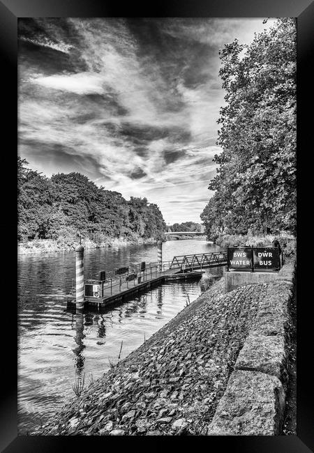 Castle Water Bus Stop 1 Mono Framed Print by Steve Purnell