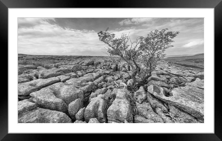 Limestone Pavement in high contrast monochrome.  Framed Mounted Print by Mark Godden
